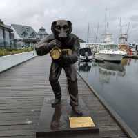 Anchorage Port Stephens - Port Stephens