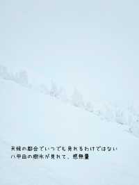 【青森】日本三大樹氷『八甲田山』