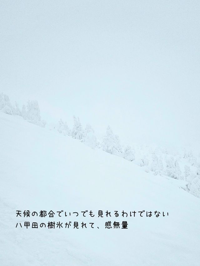 【青森】日本三大樹氷『八甲田山』