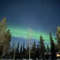 Catching Auroras 