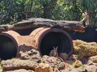 Caversham Wildlife Park