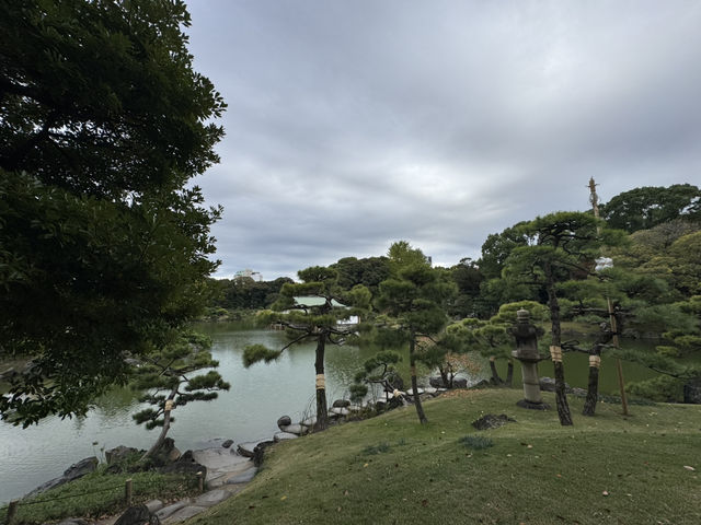 東京 - 清澄庭園的夢幻之旅 🌸