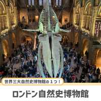 【ロンドン】必ず抑えたい定番人気スポット！9選🇬🇧🧸