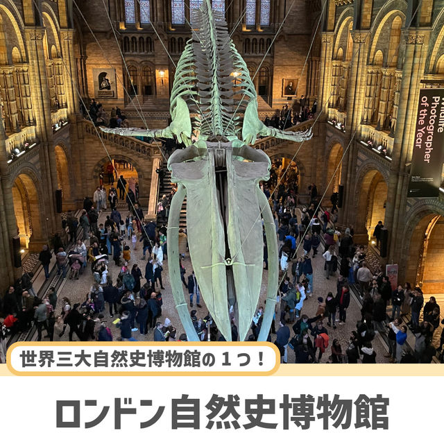 【ロンドン】必ず抑えたい定番人気スポット！9選🇬🇧🧸