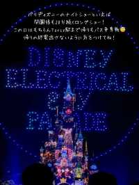 【パリ】ディズニーランドパリに行く前に電車が止まったら