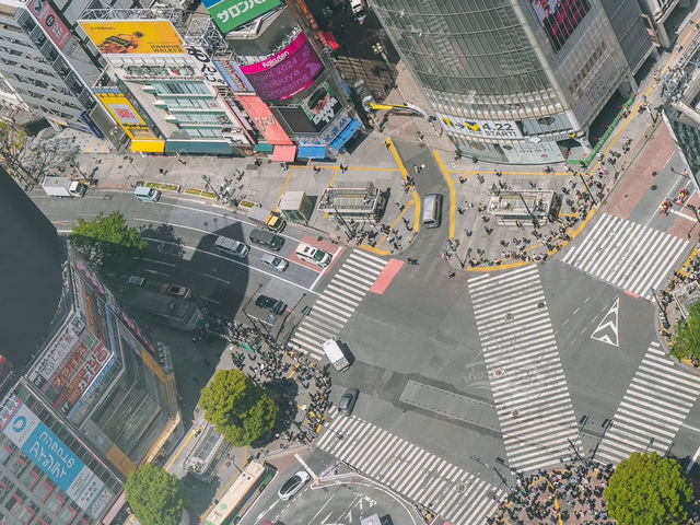 Shibuya SKY ตึกสูงสุดใจกลางโตเกียว