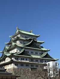 The Stunning Nagoya Castle, You Have To See It To Believe It! 🇯🇵 🏯🗾