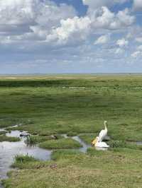 Safari trip at Amboseli National Park 🇰🇪