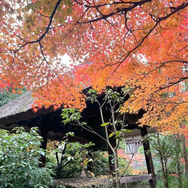 Koetsuji Temple