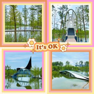 ～蕉嶺濕地公園～水中仙境～