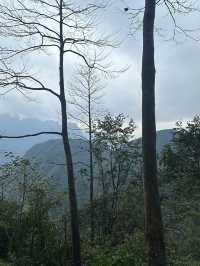 A trip in Vietnam!