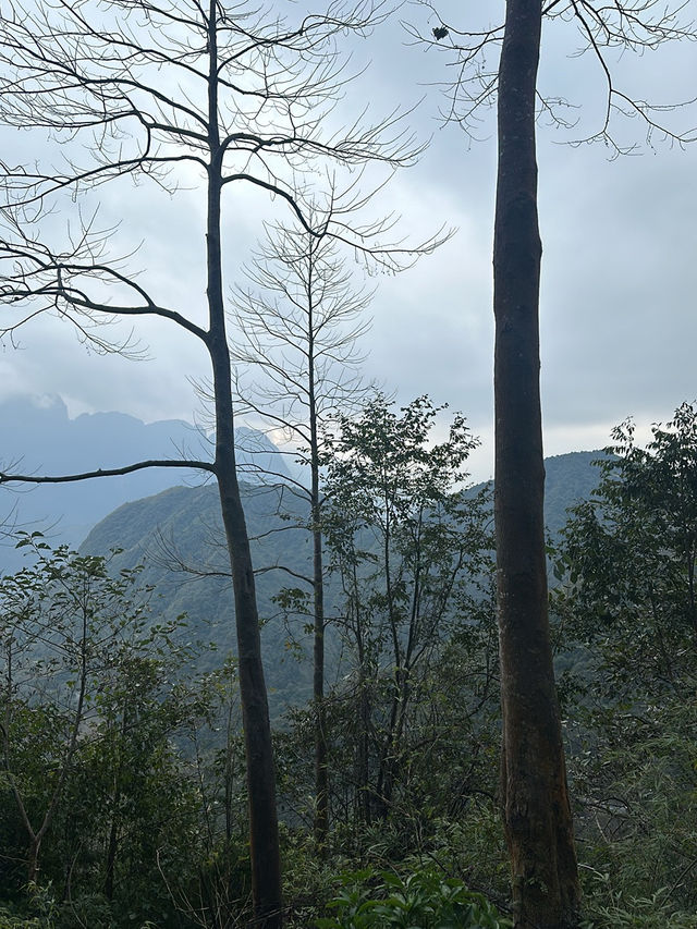 A trip in Vietnam!