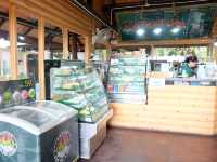cedar ป่าสนคาเฟ่ @ เขาค้อ