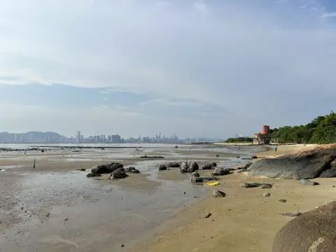 情人節的浪漫之旅 - 白泥海邊散步·享受美好時光！🌅❤️