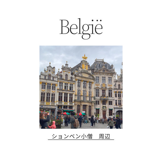 🇧🇪有名な小便小僧⛲️