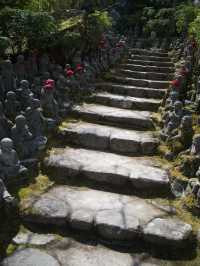 【宮島】厳島神社だけじゃない！大聖院でパワーチャージ！