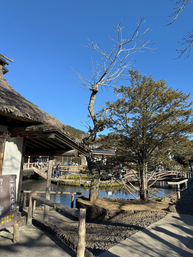 Oshino Hakkai @ "Eight Seas"