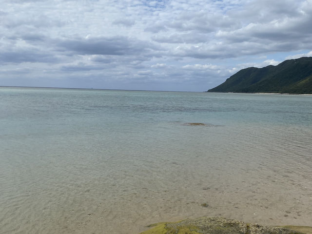 西表島