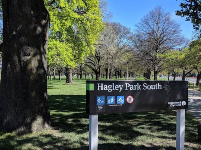 南半球的櫻花大道 紐西蘭-基督城 Hagley Park South