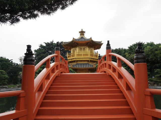 A Peaceful Pause: Hong Kong’s Best Kept Secrets—Chi Lin Nunnery and Nan Lian Garden