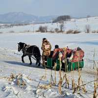 Thrills & Chills: Yabuli Ski Resort Adventure 🏔️❄️🛷