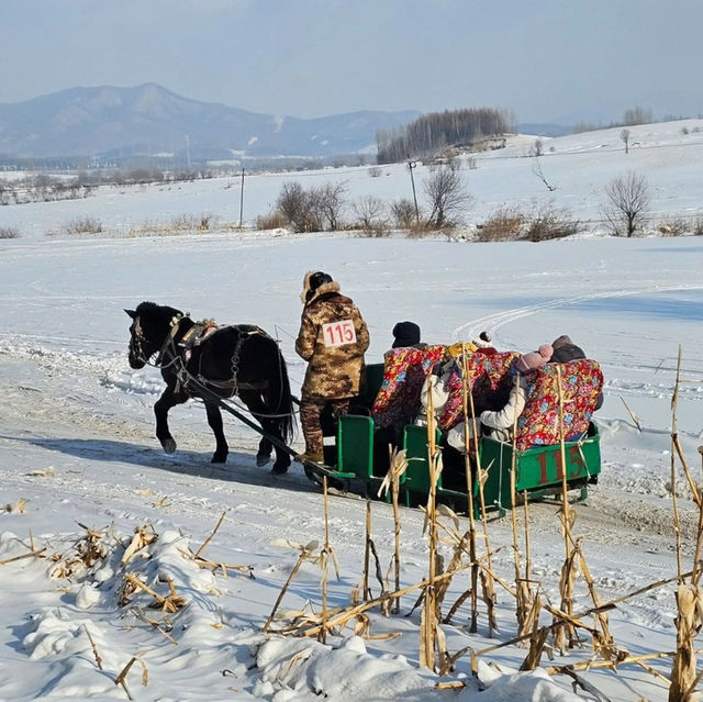 Thrills & Chills: Yabuli Ski Resort Adventure 🏔️❄️🛷