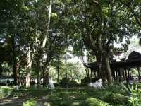 Echoes of the Past: Exploring Kowloon Walled City’s Storied Legacy