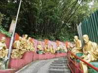 10,000 Buddhas, One Journey: A Peaceful Escape in Sha Tin