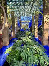 🇲🇦マラケシュ　マジョレル庭園