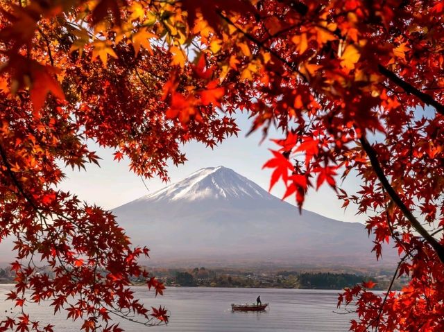 富士山山中湖‐紅葉配上富士山真的太美太出片了！！🤩