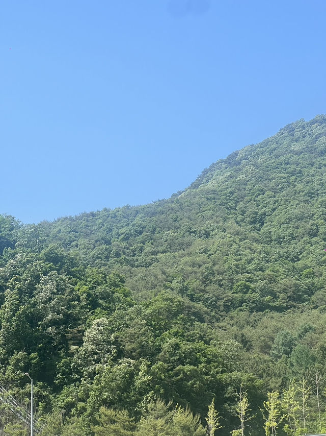 สถานที่พักริมทาง: “홍천휴게소”