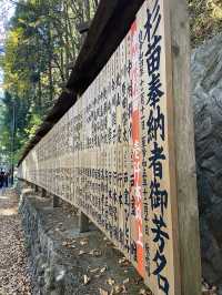 A Quick Mountain Hike to Mt. Takao