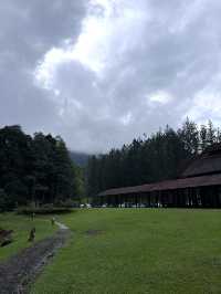 Pineyard - Cafe in the Lush Rainforest 