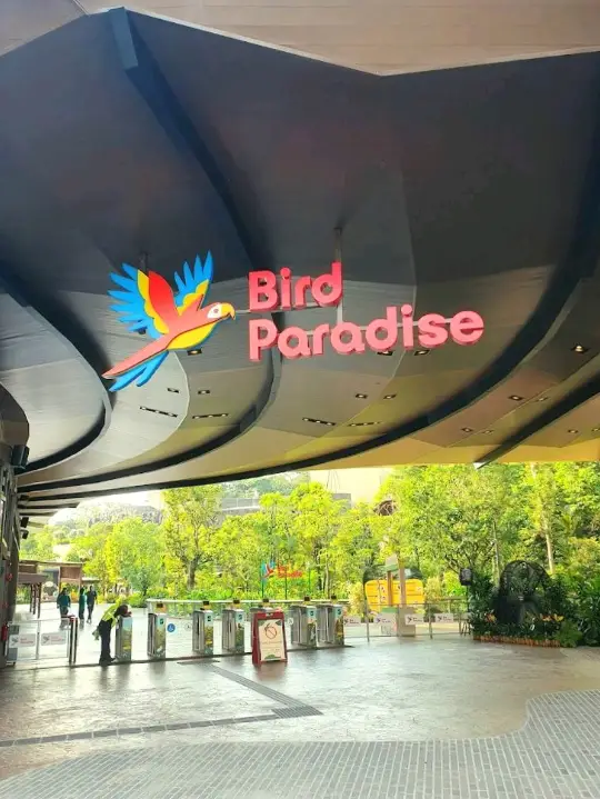 Bird Paradise