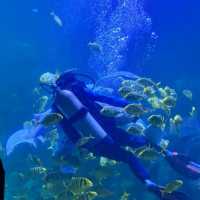 【中国/福州/左海海洋ワールド】