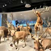 สุดยอดพิพิธภัณฑ์ Shanghai Natural History Museum
