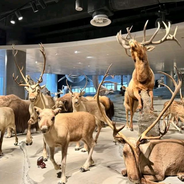 สุดยอดพิพิธภัณฑ์ Shanghai Natural History Museum