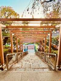 【東京】萬年山法輪寺：東京最美花手水舍，季節限定縷空御朱印