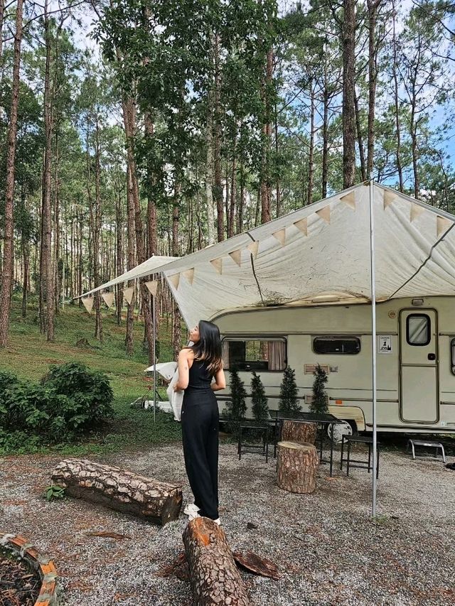 พักฮีลใจที่ สวนป่าดอยบ่อหลวง 🌲