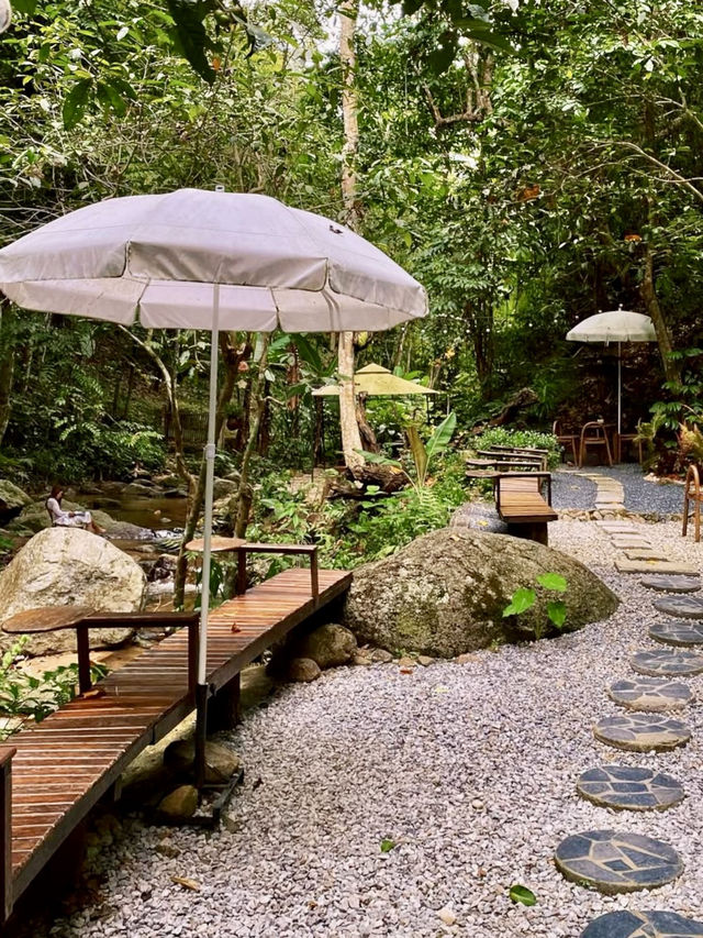 자연과 맑은 공기와 함께 🌳힐링여행하기 좋은 치앙마이 카페투어💚