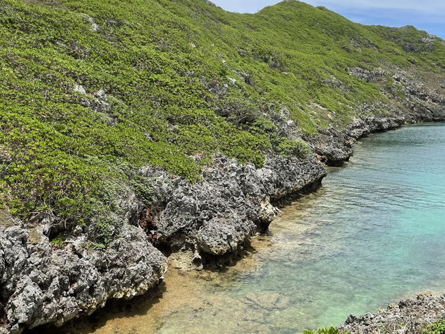 小笠原父島
