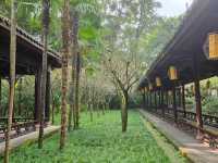 Honoring Du Fu’s legacy at his Chengdu retreat.