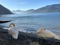 ทะเลสาบโคโม่ Lake Como ที่เที่ยวอิตาลี