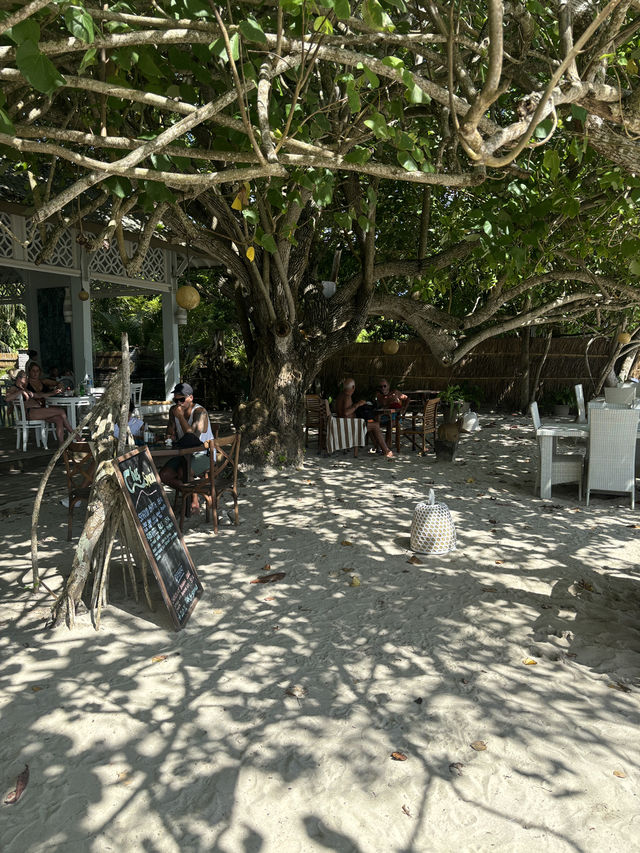 Lunch with a View at Laut Biru Bar & Restaurant 🍛🌊
