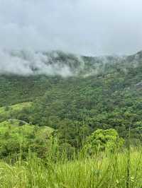 Day Trip to Nadi