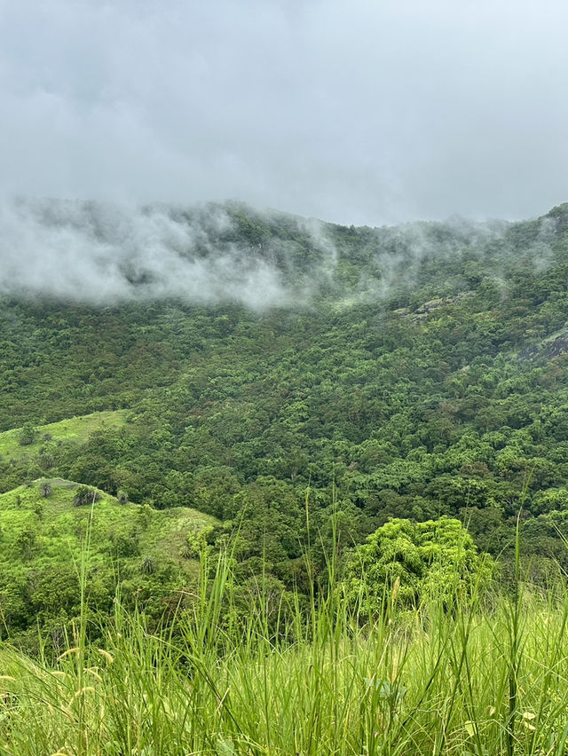 Day Trip to Nadi
