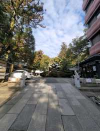 京都神社之旅，好吃好玩好漂亮，你還不出發嗎？