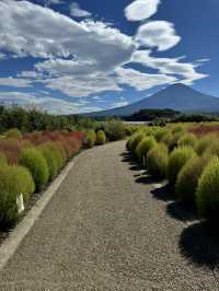 Breathtakingly beautiful day near Mount Fuji 