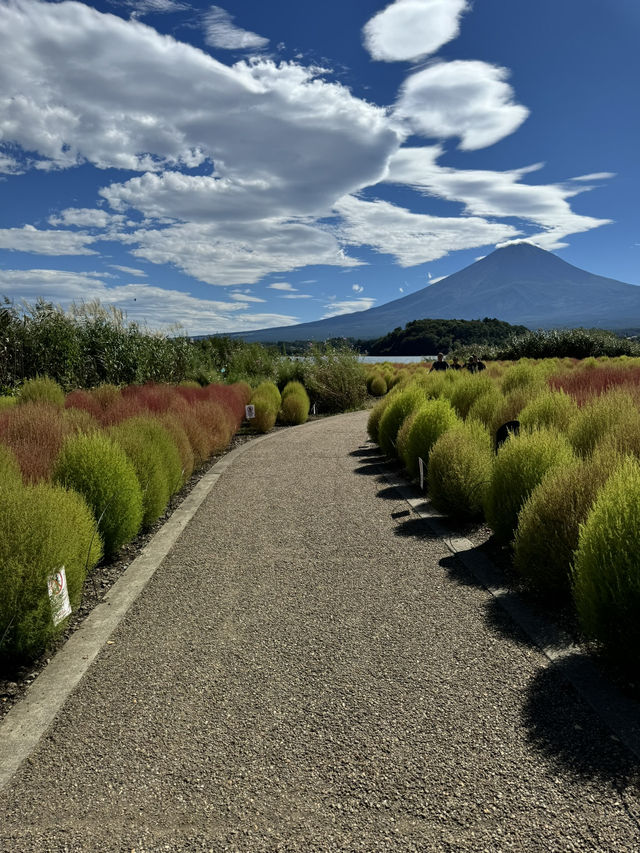 Breathtakingly beautiful day near Mount Fuji 