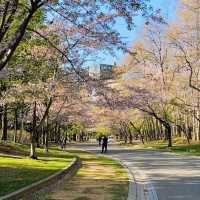 Nakajima Park